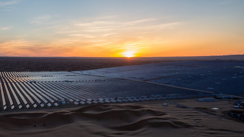 太阳能杀虫灯：材质揭秘与分类解析**